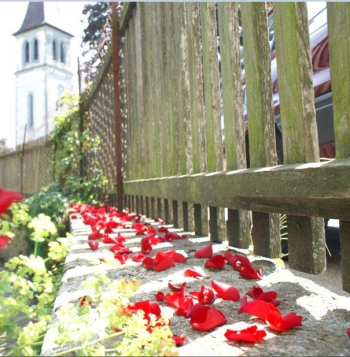 Hotel Ringmauer Murten Exteriér fotografie